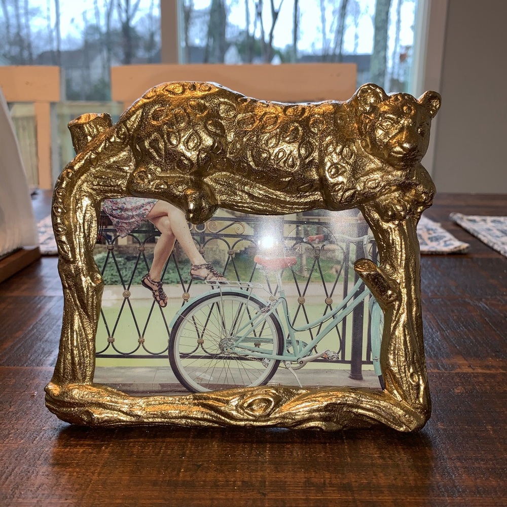 Opalhouse 4x6 picture frame